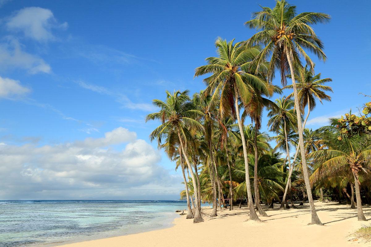 In Jamaika wird zwischen hetero- und homosexuellen Paaren unterschieden