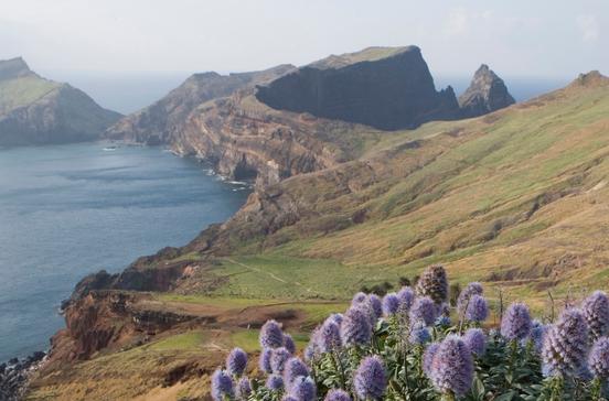 Ponta de São Lourenço Ponta de São Lourenço
