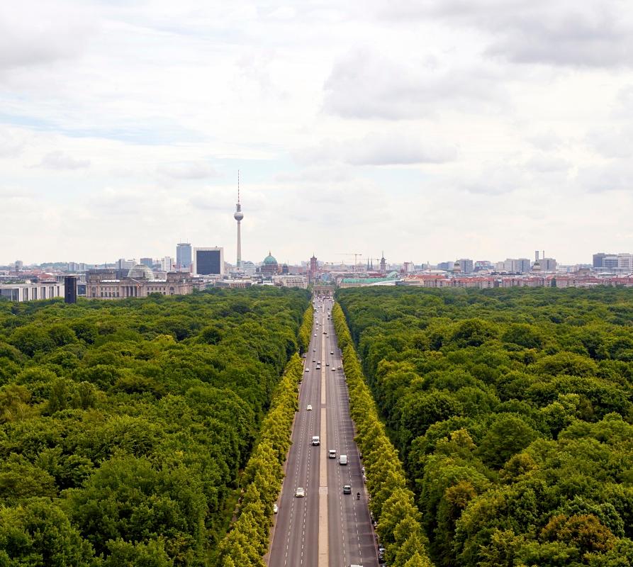 Studieren im Berliner Tiergarten