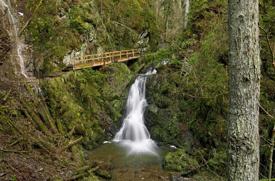 Wutachschlucht Wutachschlucht