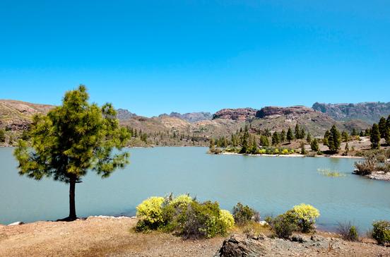 Presa de Chira Presa de Chira
