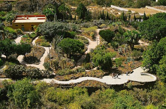 Jardín Botánico Canario Viera y Clavijo Jardín Botánico Canario Viera y Clavijo