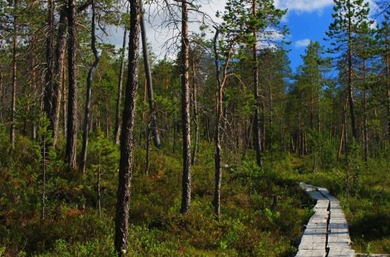 Lemmenjoen kansallispuisto Lemmenjoen kansallispuisto