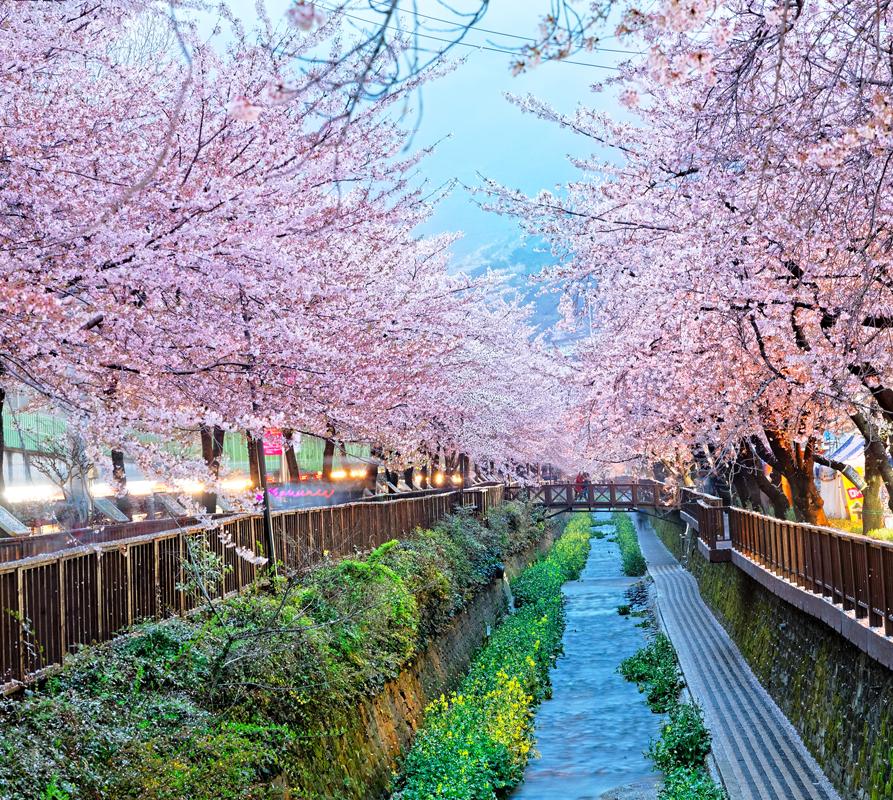 Busan: Südkoreanische Metropole für Designfans