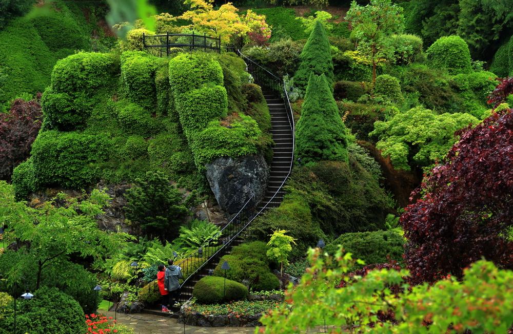 8. Beschnuppere die Blütenpracht der Butchart Gardens 