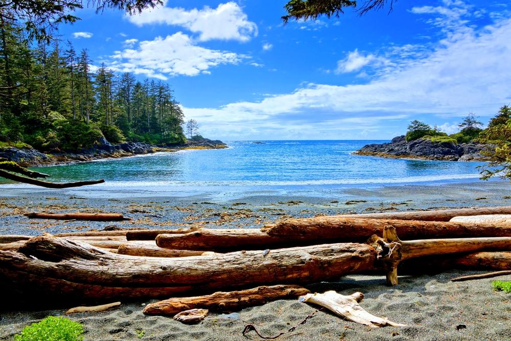10. Durchstreife den Pacific Rim National Park