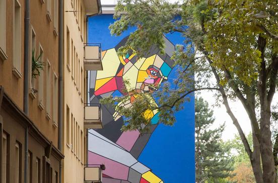 Merian, Isabela Pacini Merian, Isabela Pacini