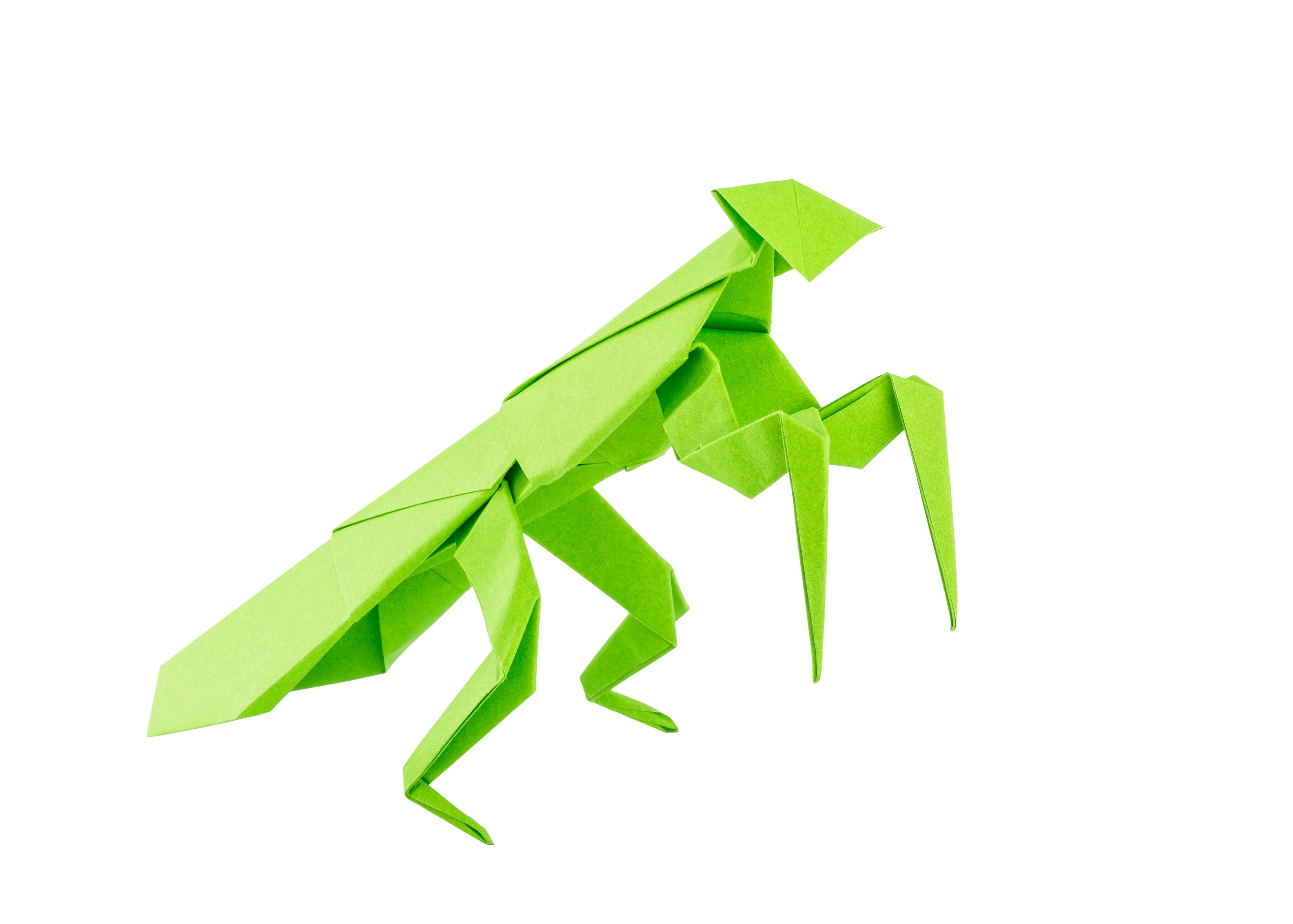 Origami Heuschrecke