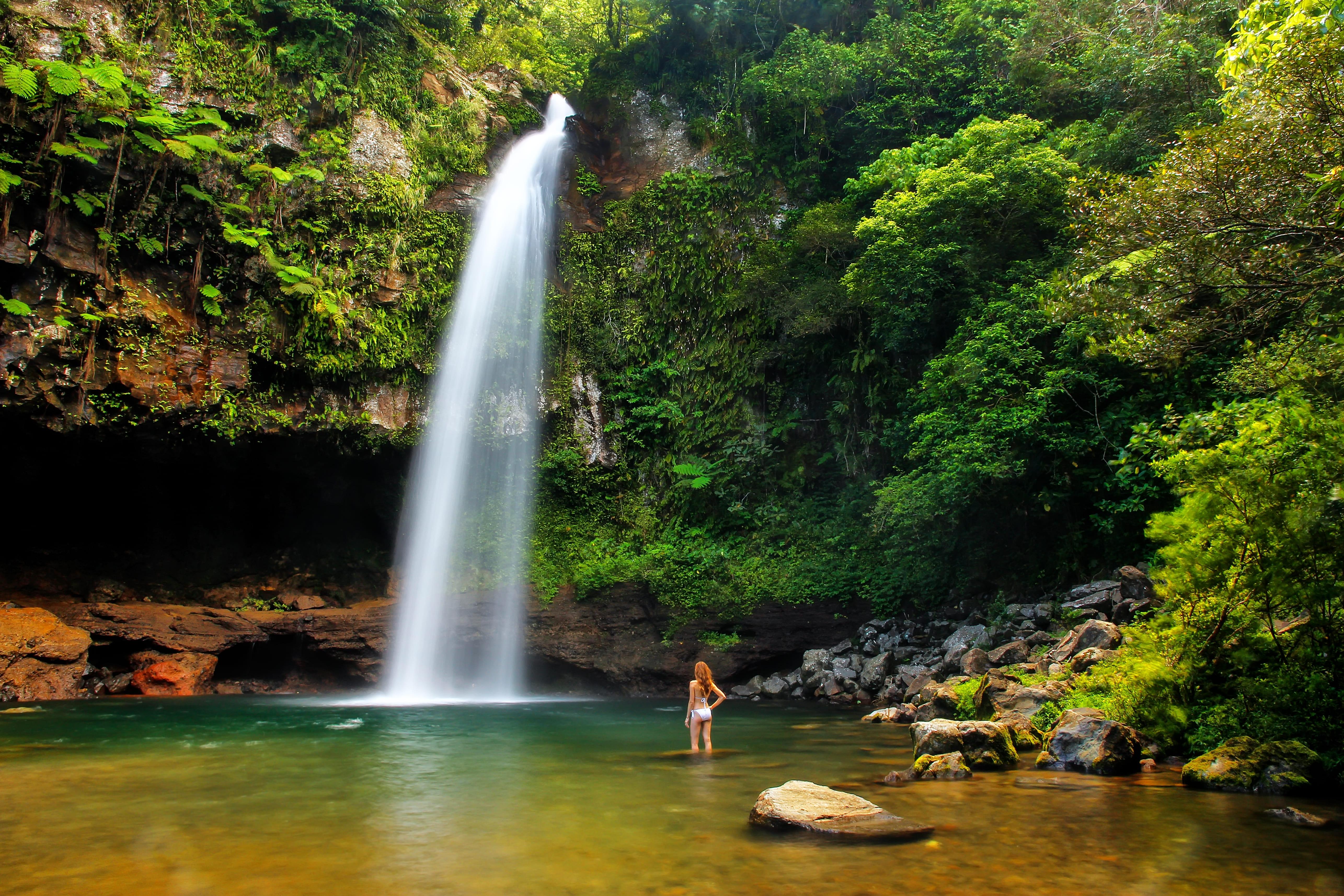 Tavoro Wasserfälle im Nationalpark Bouma auf der Insel Taveuni, Fidschi Inseln