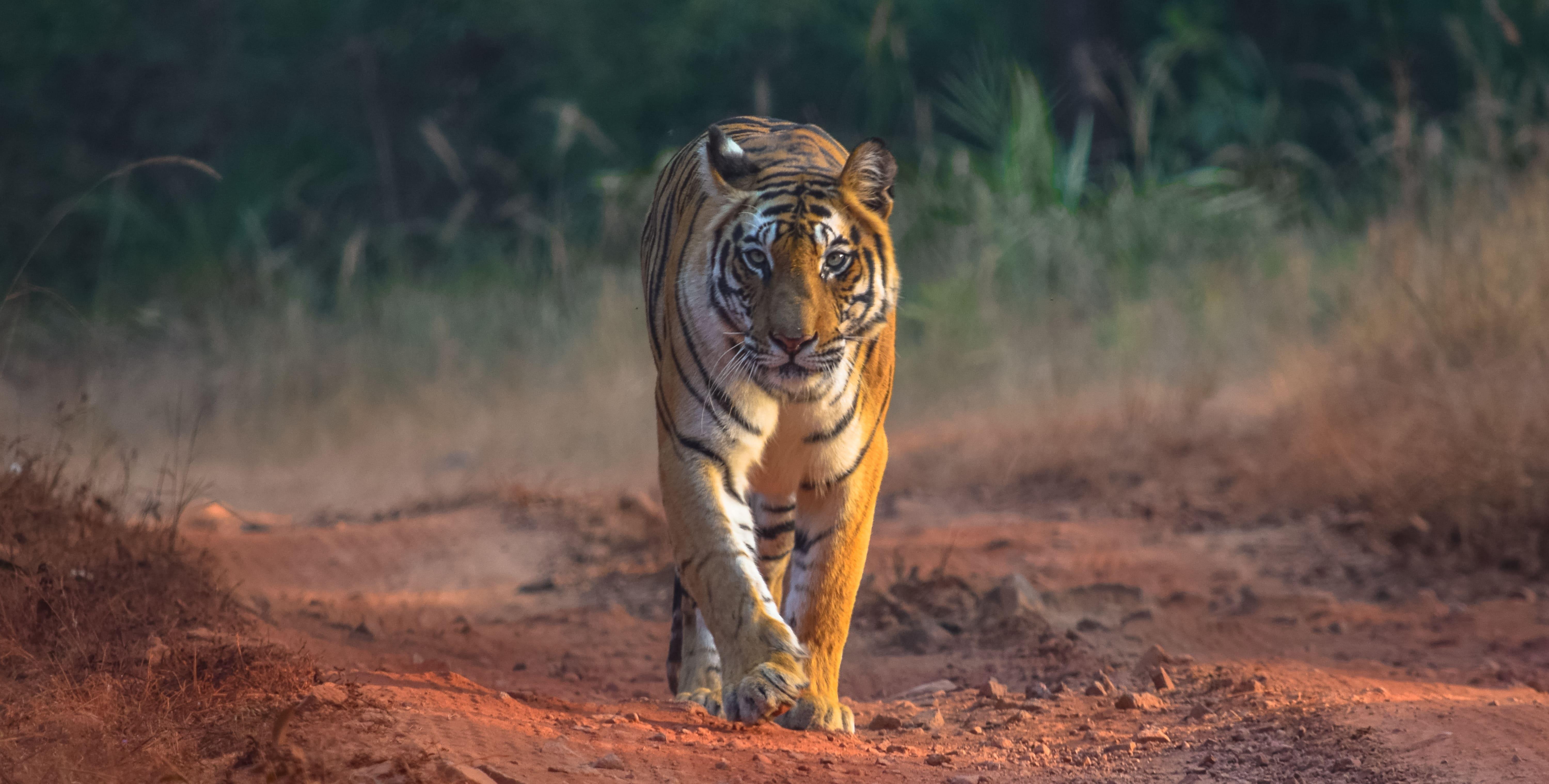 shutterstock_2304567881 (1).jpg