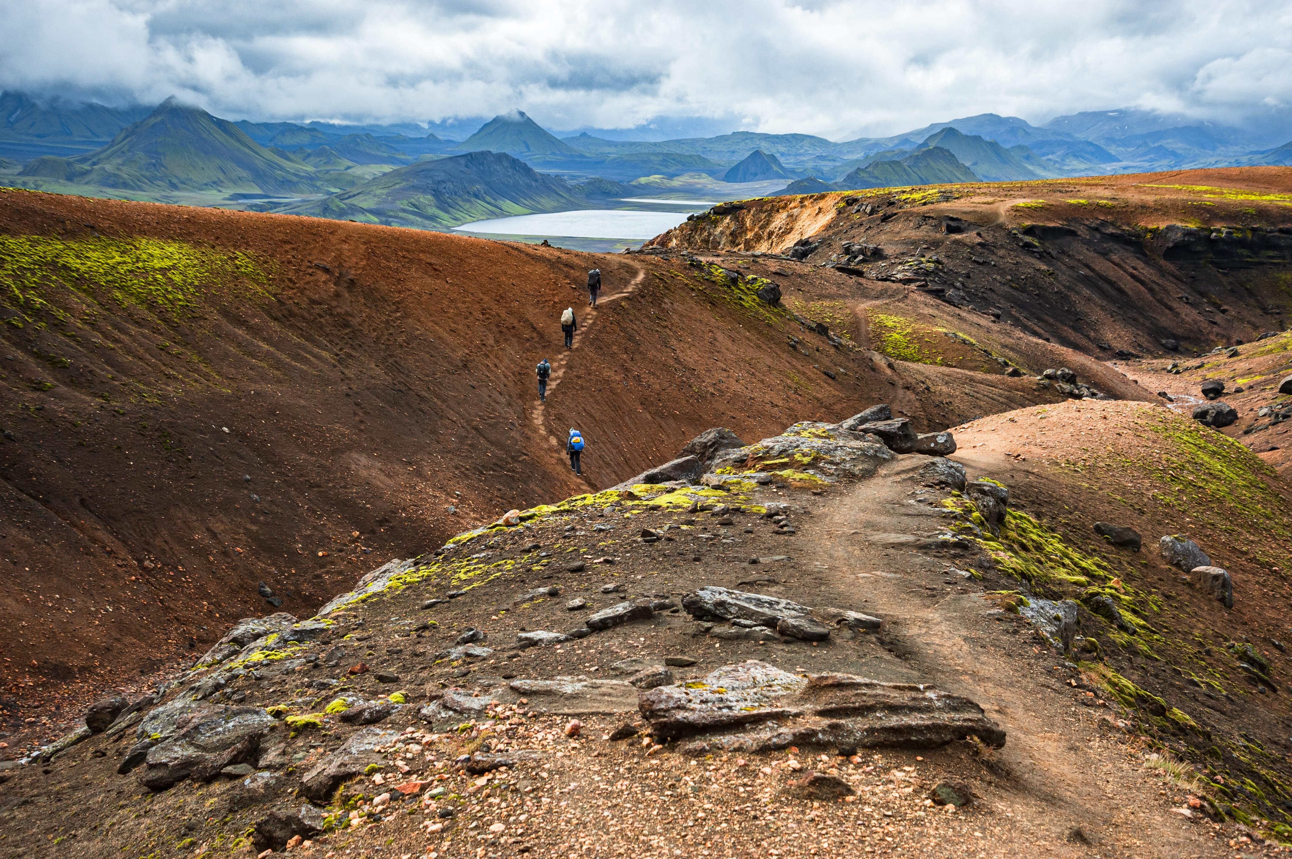 shutterstock_2374114245 (1).jpg