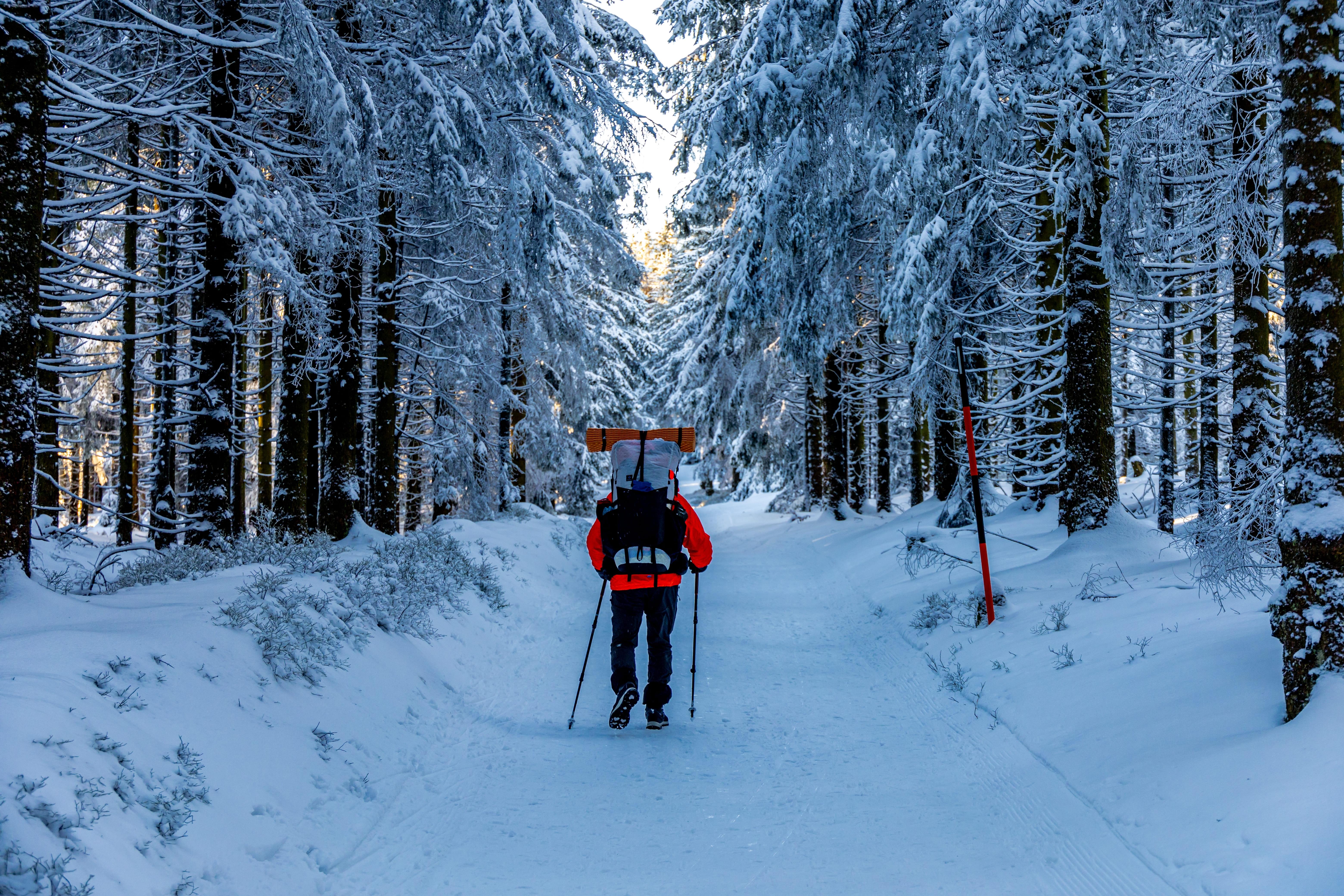 shutterstock_2569168071 (1).jpg