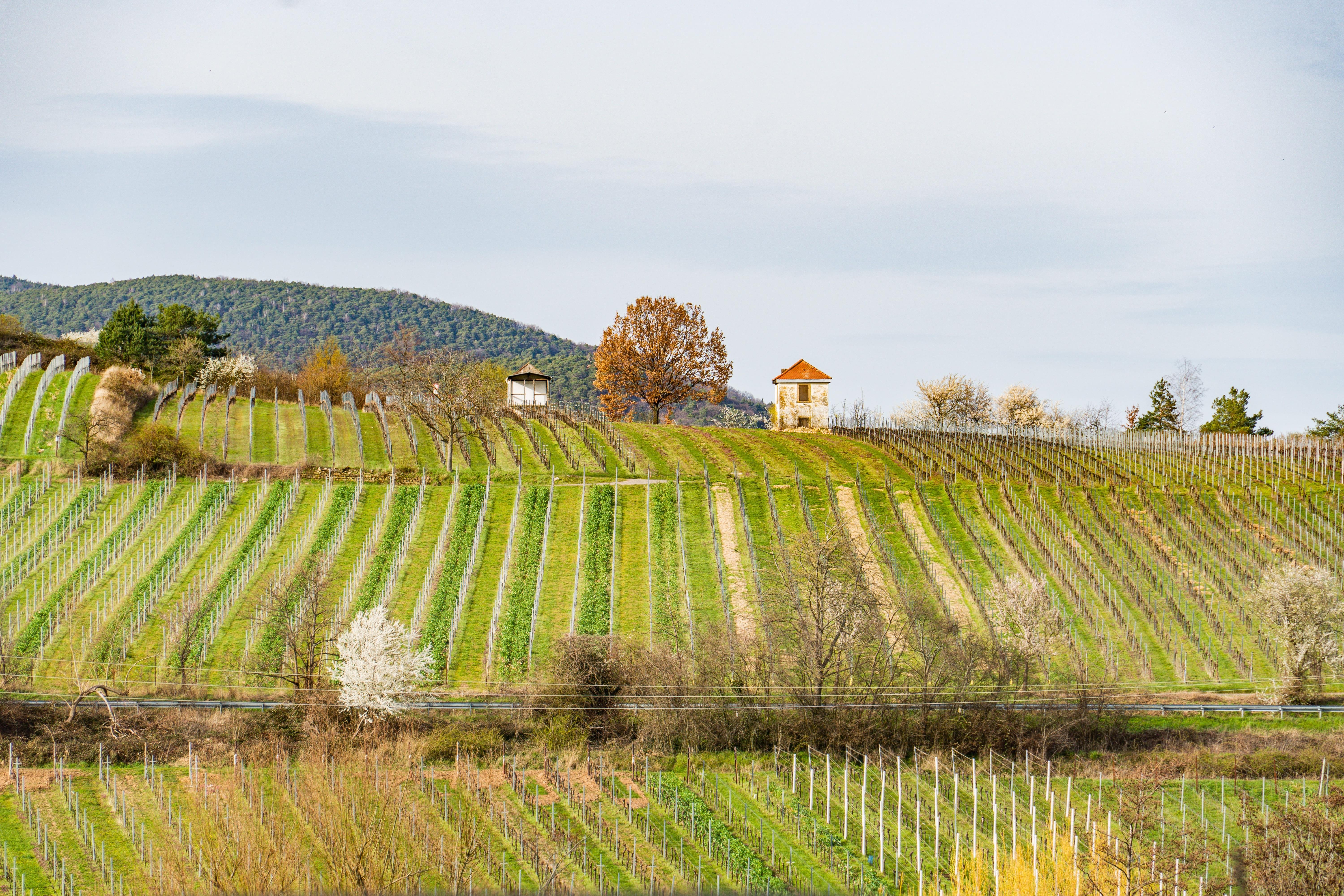 shutterstock_2242236537 (1).jpg