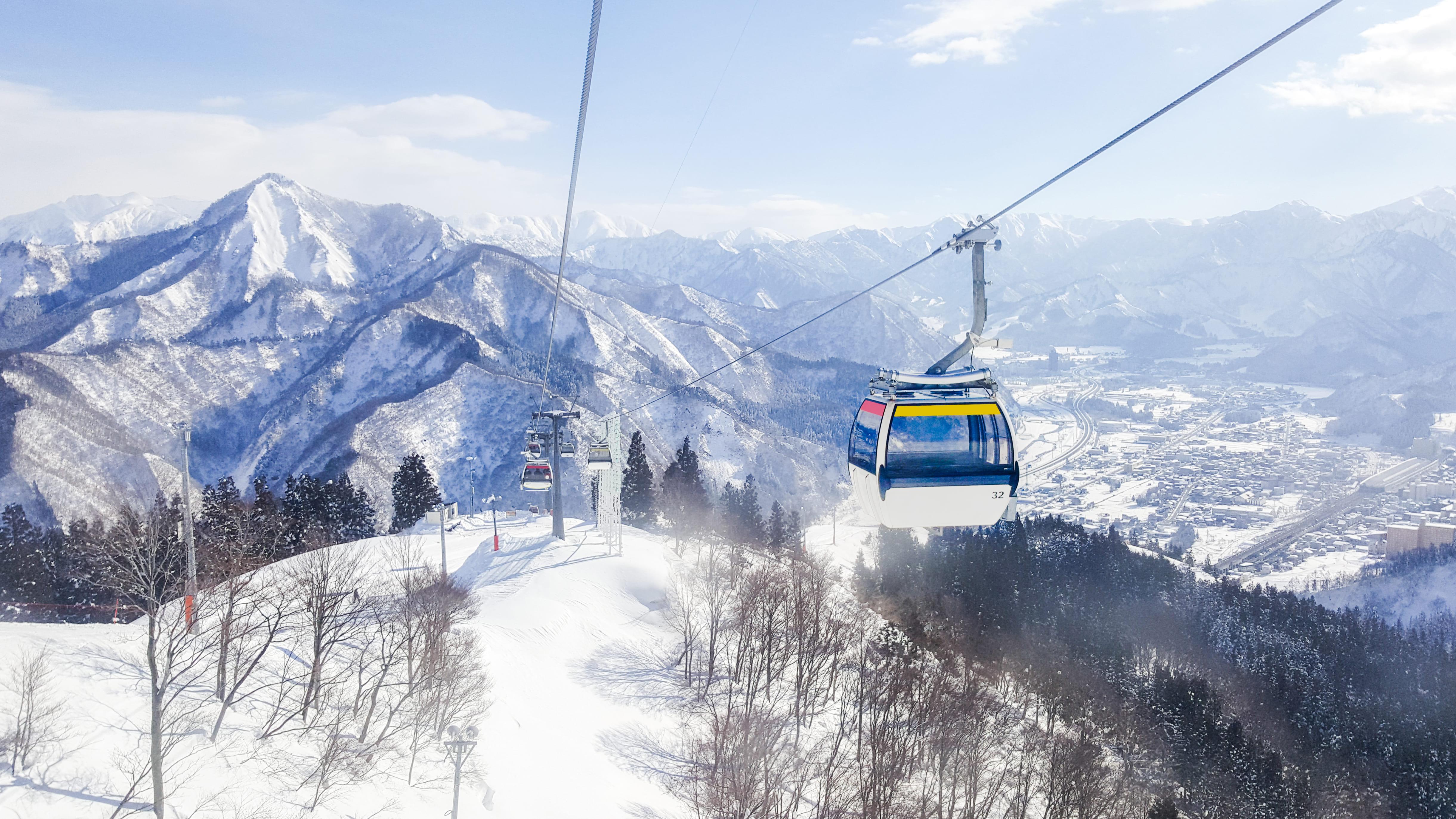 shutterstock_1032926242 (1).jpg