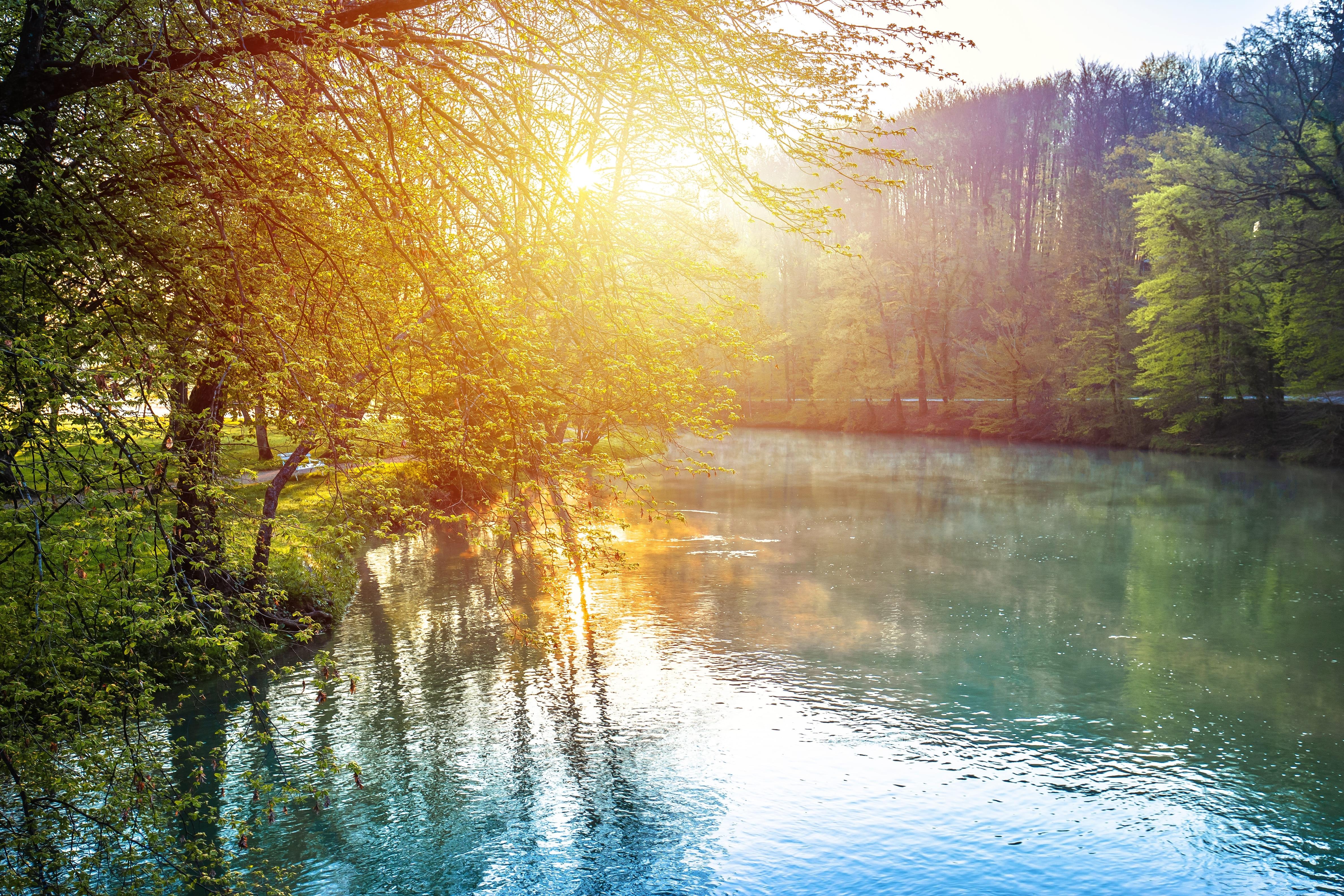 shutterstock_2639940187 (1).jpg