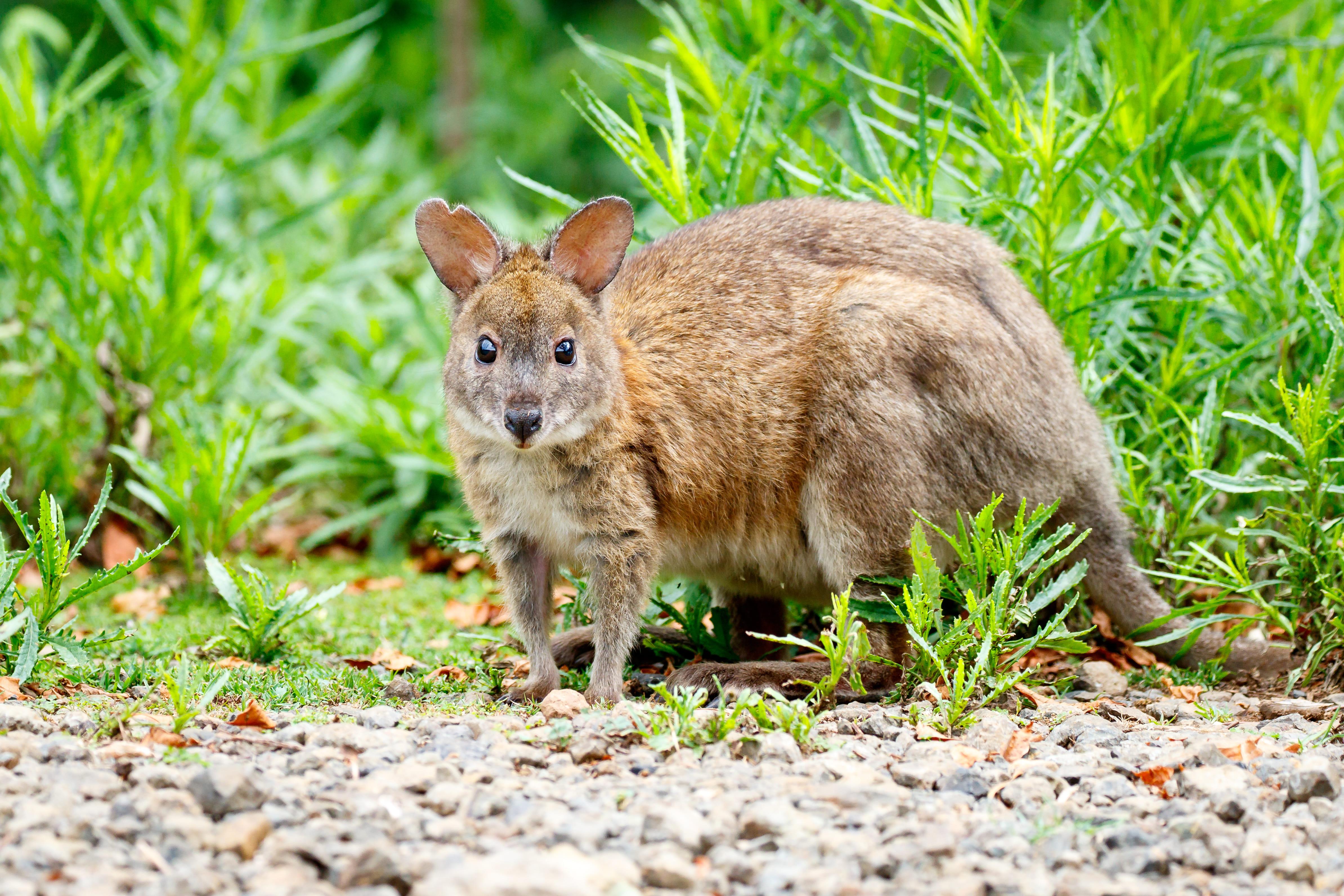 shutterstock_698723842 (1).jpg