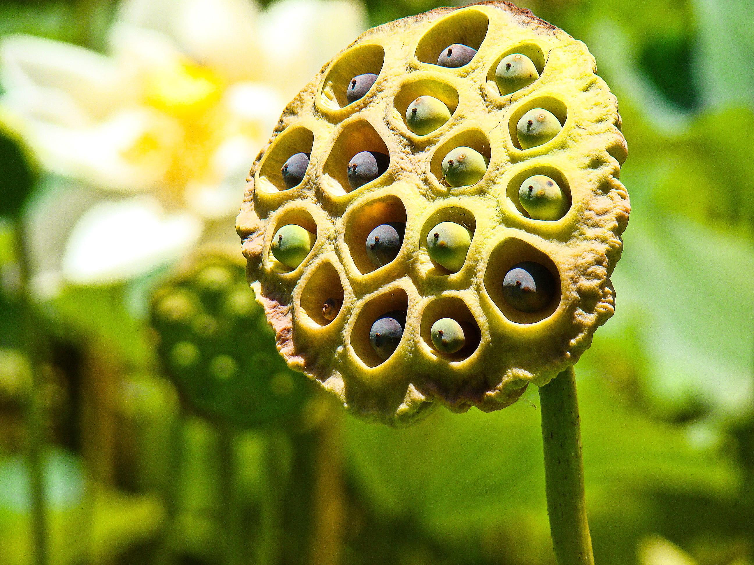 shutterstock_1489403273 (1).jpg