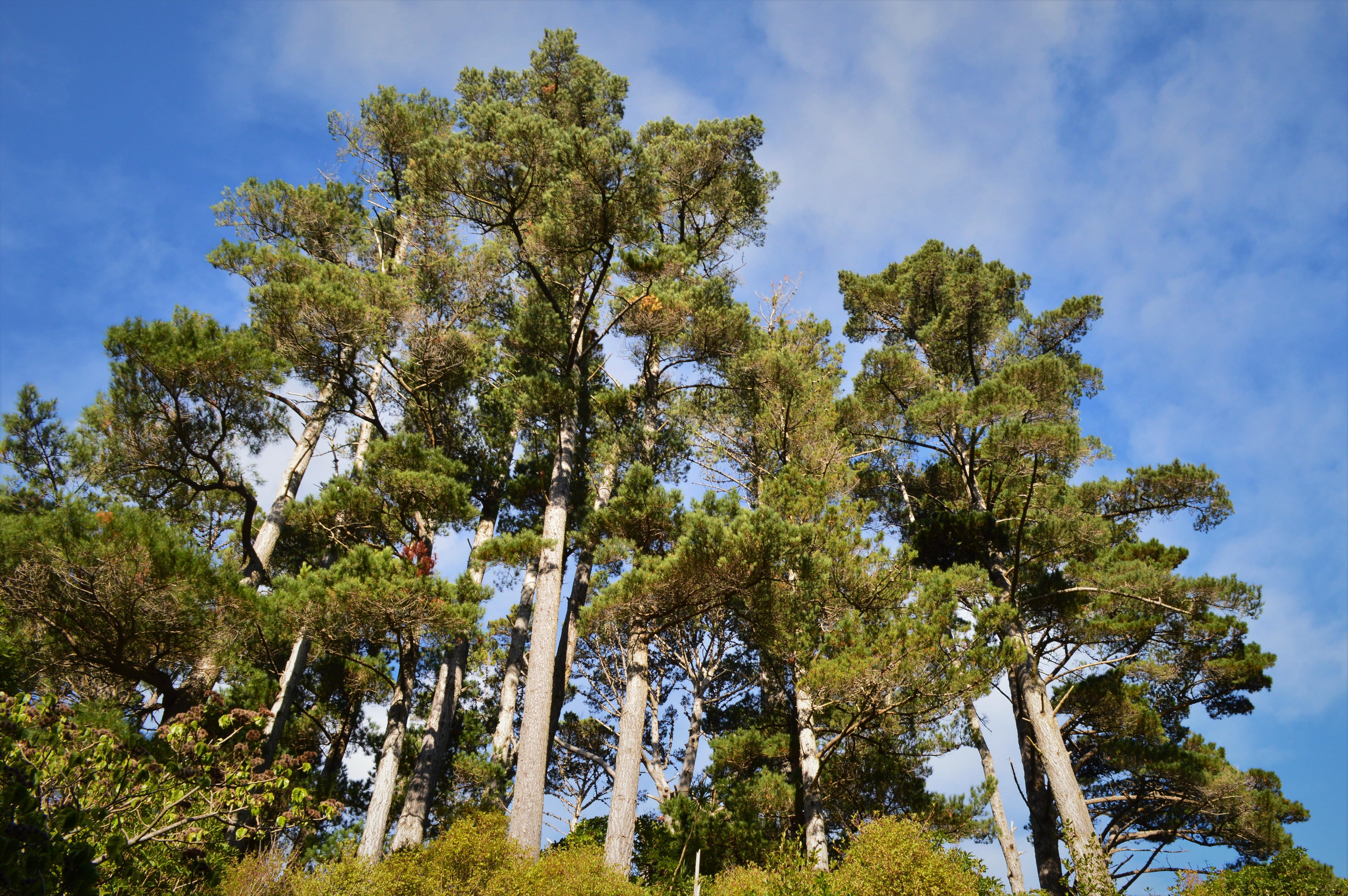 shutterstock_1809446488 (1).jpg