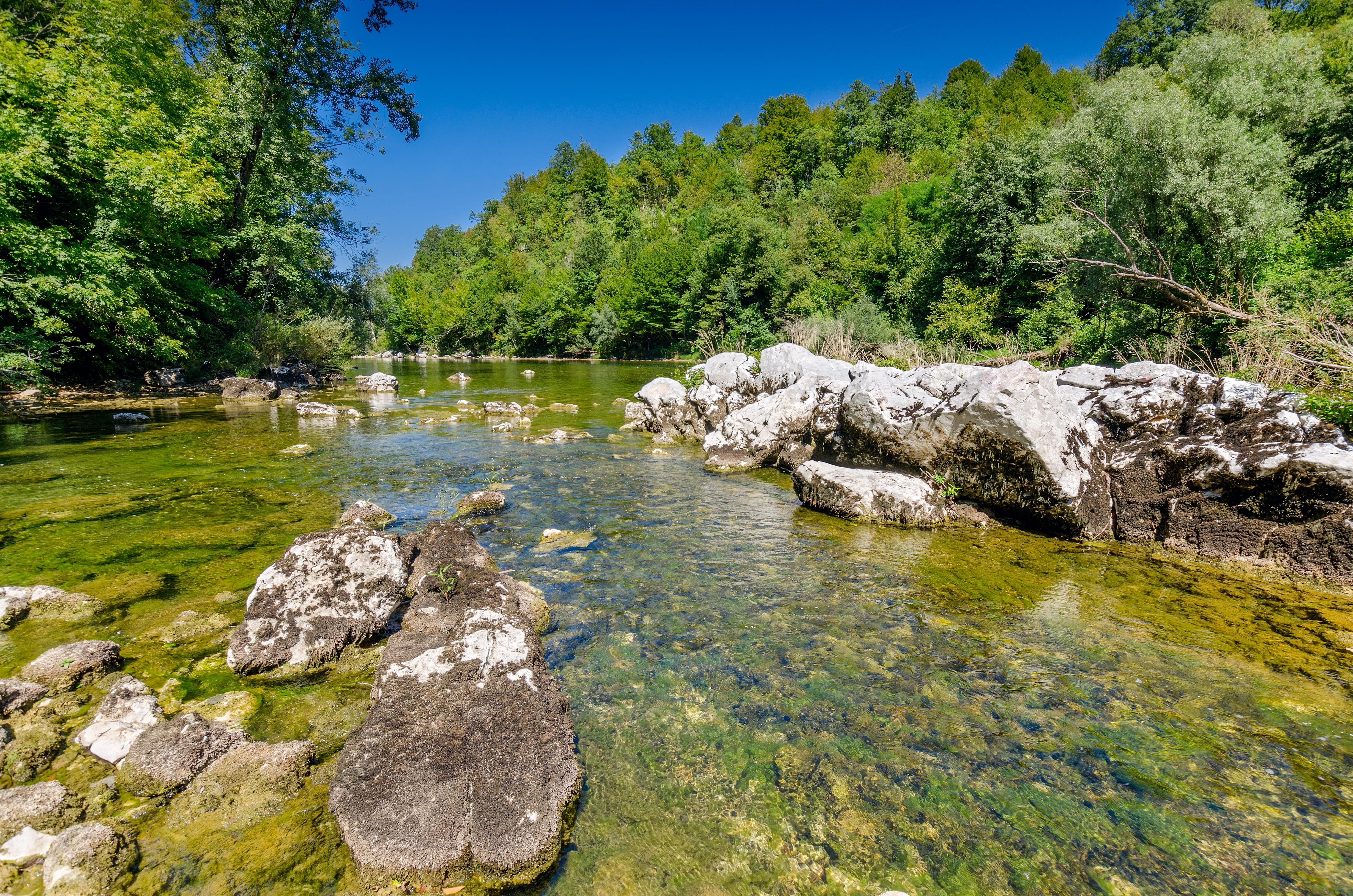 shutterstock_1038257953 (1).jpg