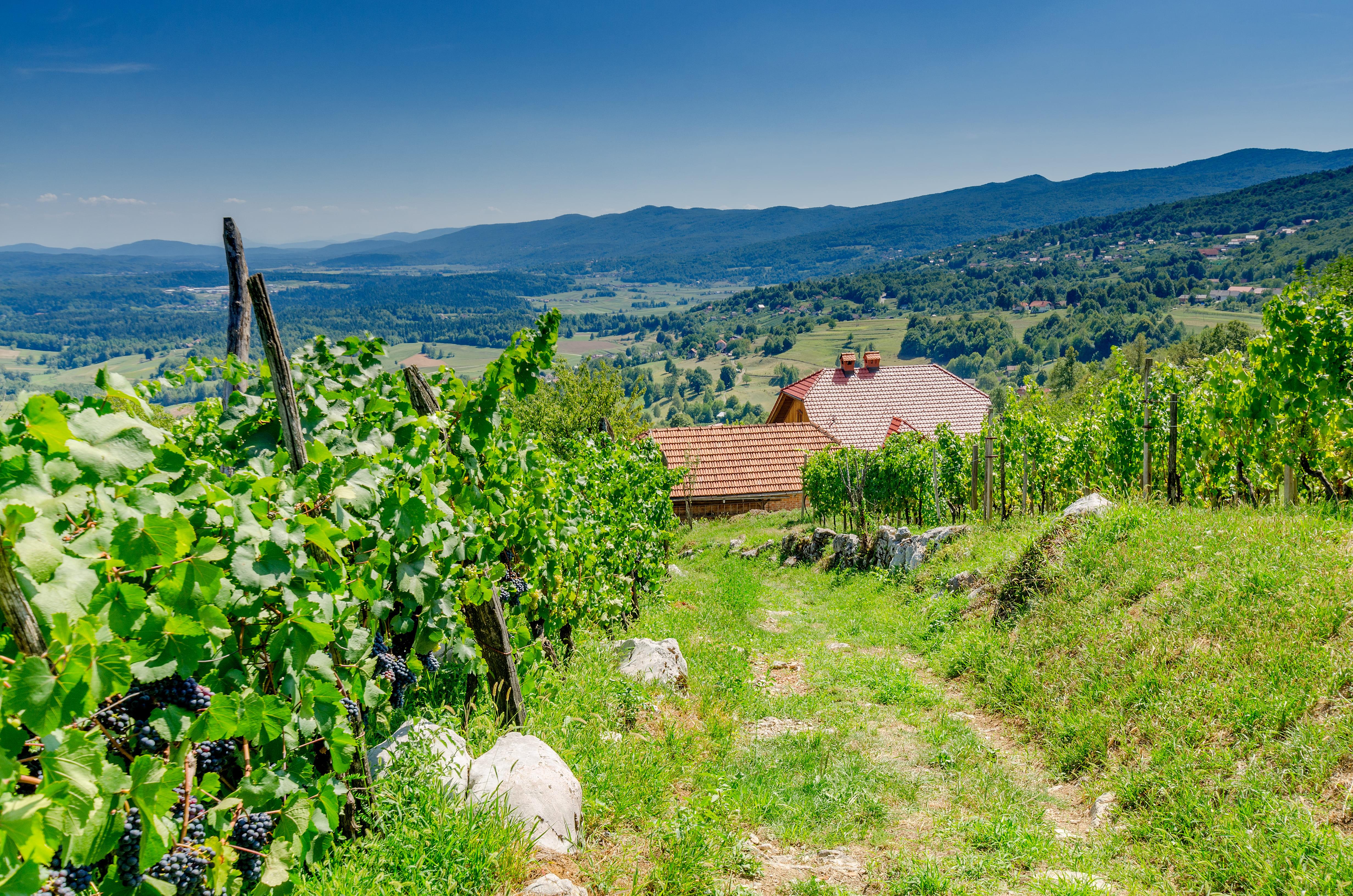 shutterstock_1038257938 (1).jpg