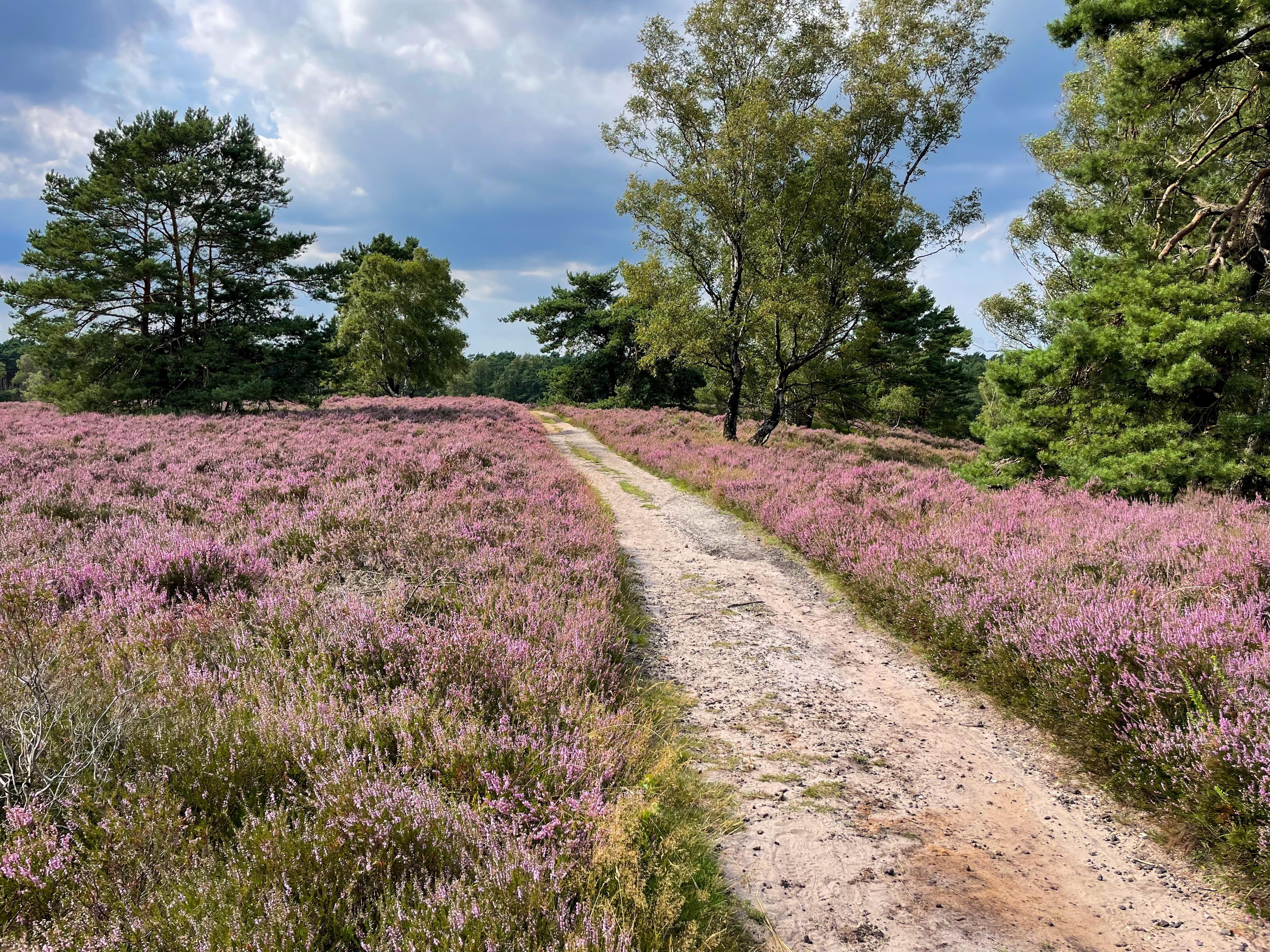 shutterstock_2501492173 (1).jpg