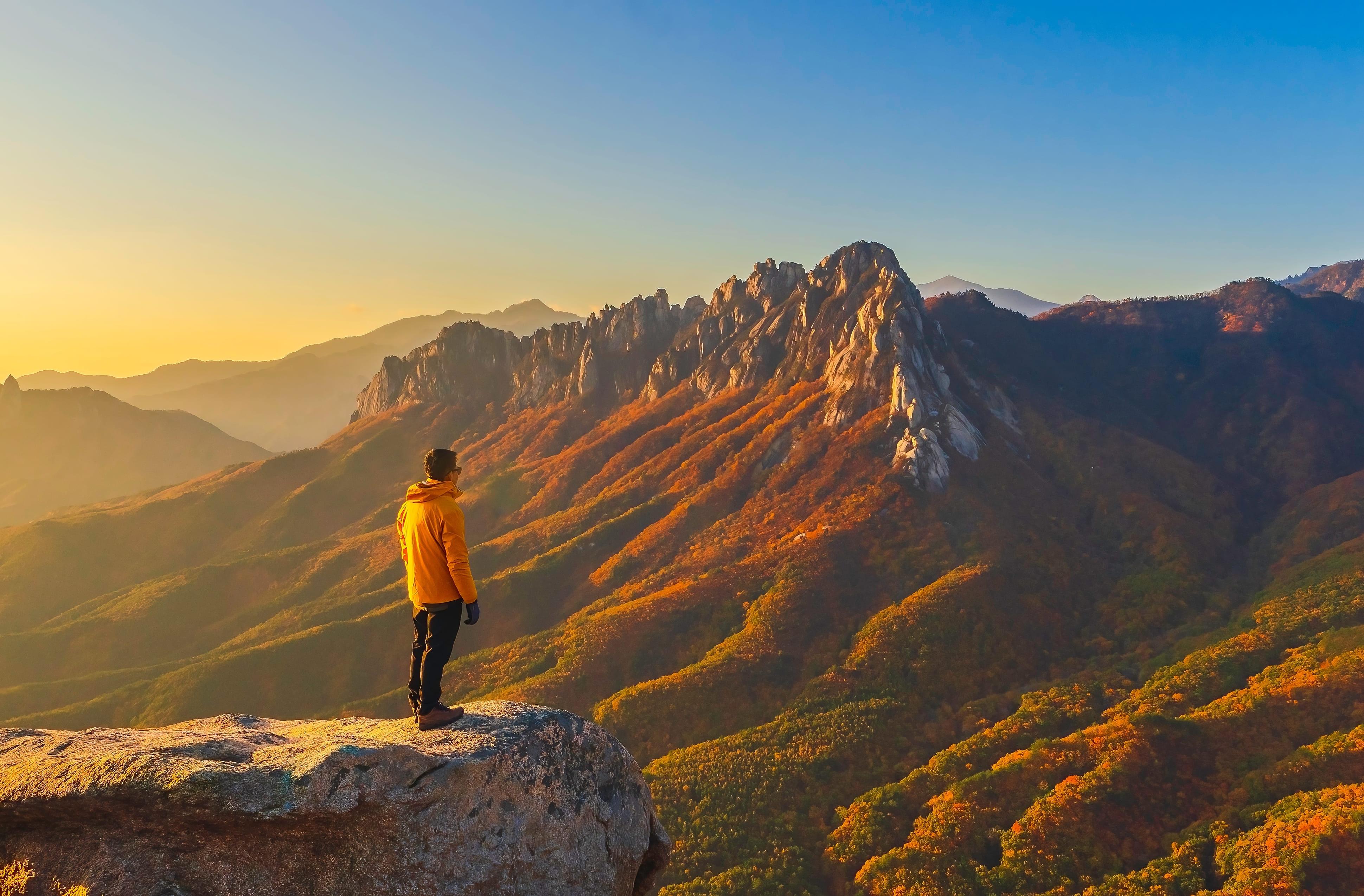 shutterstock_2384222449 (1).jpg