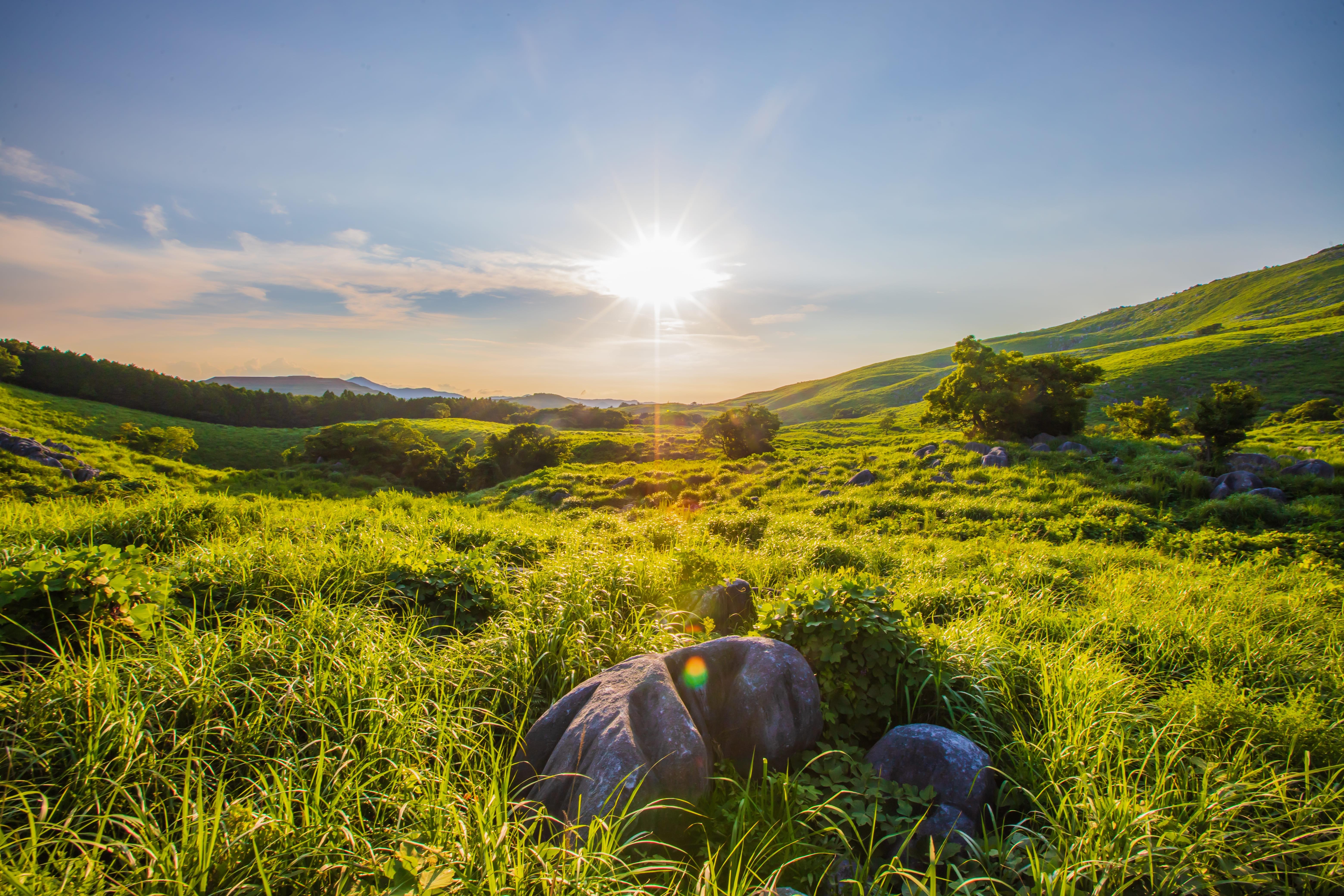 shutterstock_2415175143 (1).jpg