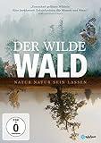Der wilde Wald