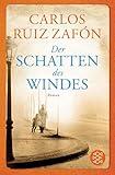 Der Schatten des Windes