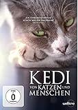 Kedi - Von Katzen und Menschen