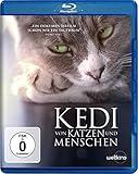 Kedi - Von Katzen und Menschen