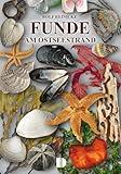 Funde am Ostseestrand