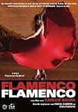 Flamenco Flamenco