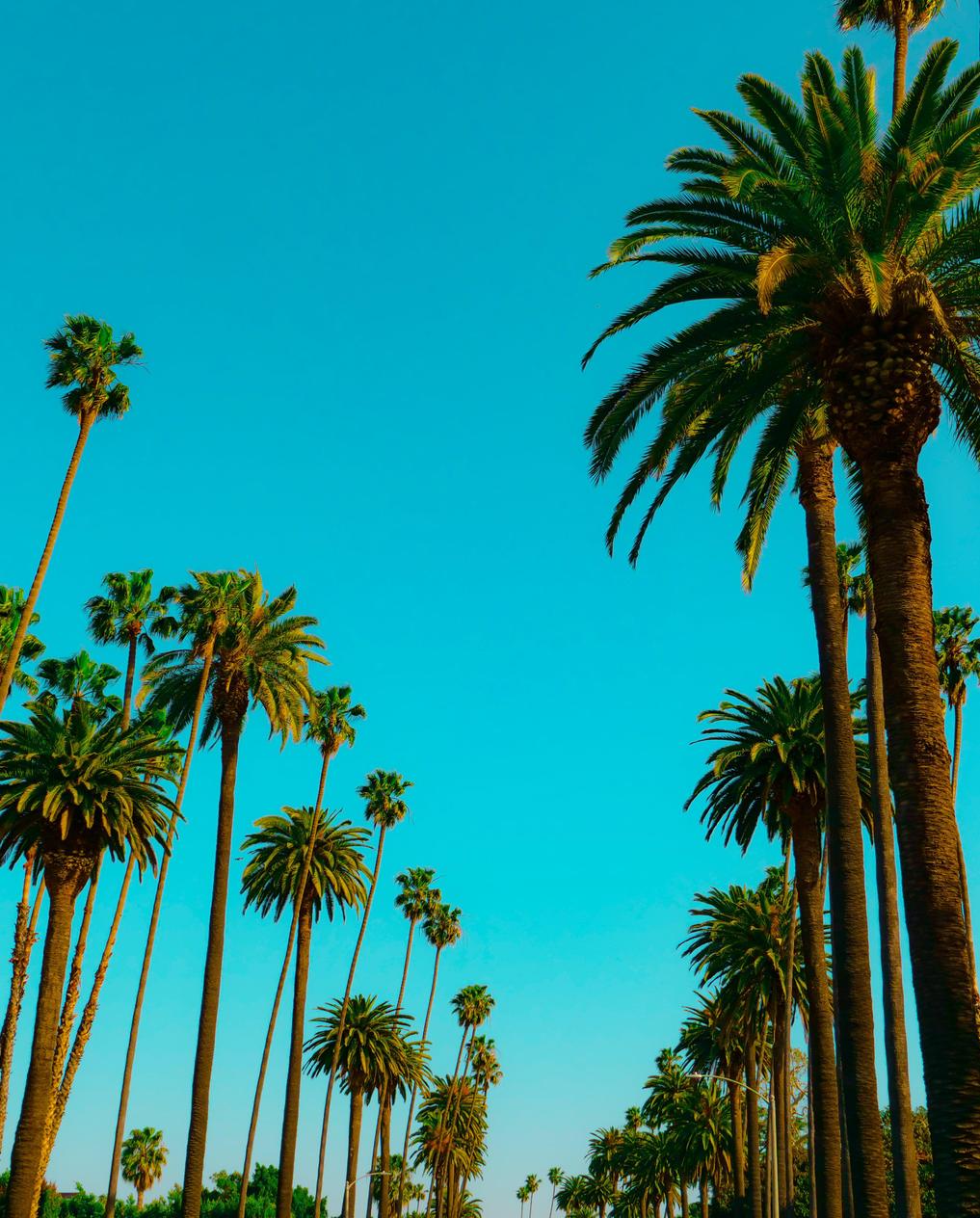 Saint Louis Der OnlineReiseführer von MARCO POLO