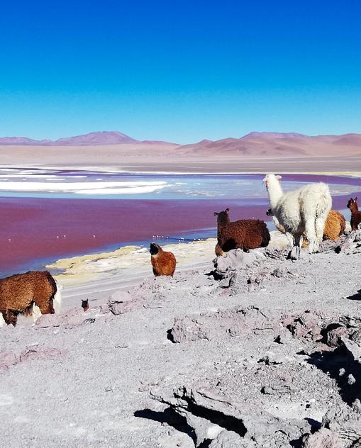 Pernambuco Der OnlineReiseführer von MARCO POLO